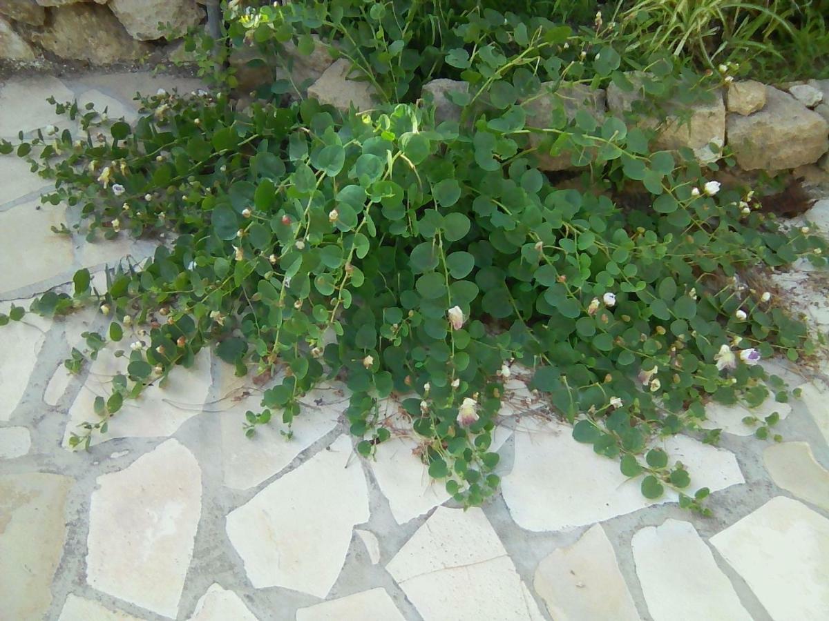 Sbarcatore Dei Turchi Hotel บรูโกลี ภายนอก รูปภาพ